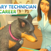 Veterinary Technician Career By Itskatato
