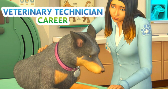 sims 4 cats and dogs vet career