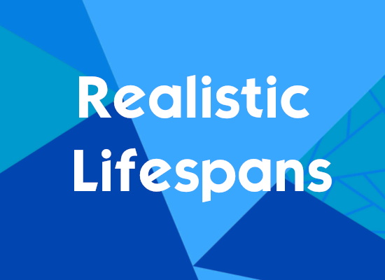 Sims 4 Realistic Lifespans by nifflr at Mod The Sims 4