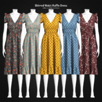 Shirred Waist Ruffle Dress
