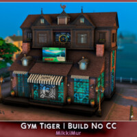 Gym Tiger