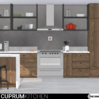 Cuprum Kitchen Appliances And More By Wondymoon