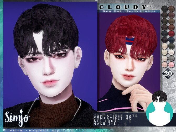 Sims 4 Cloudy Hair by KIMSimjo at TSR