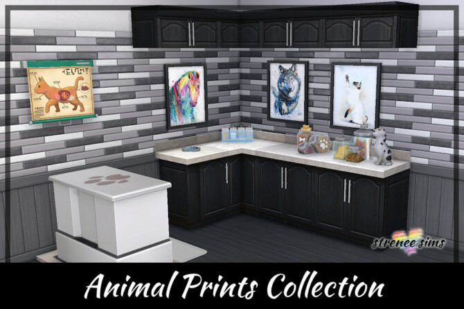 Watercolor Animal Prints Collection