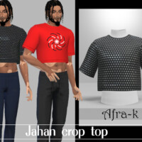 Jahan Crop Top By Akaysims