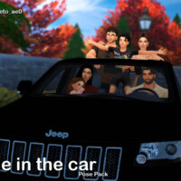 Ride In The Car (pose Pack) By Beto_ae0