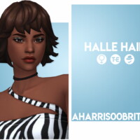Halle Hair