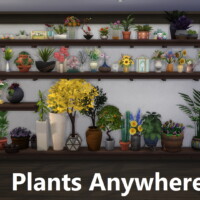 Clutter Anywhere Part Five – Plants