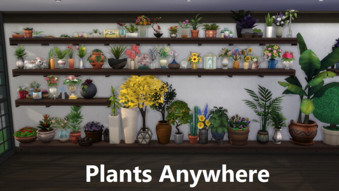Clutter Anywhere Part Five – Plants