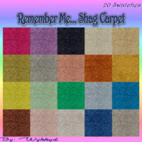 Remember Me… Shag Carpet By Wykkyd
