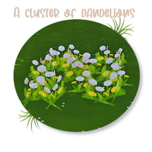 A cluster of dandelions by MoonFeather at Mod The Sims 4