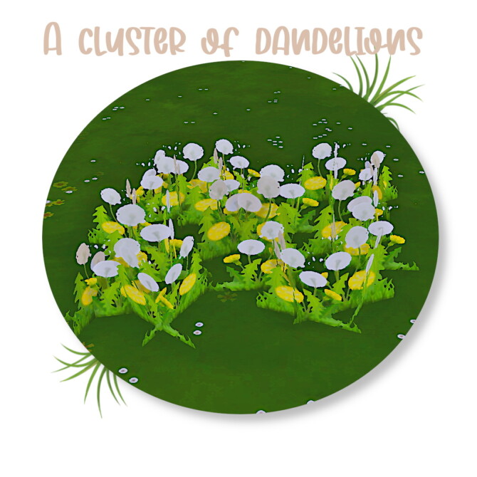 Sims 4 A cluster of dandelions by MoonFeather at Mod The Sims 4
