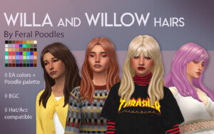 Willa And Willow Hairs
