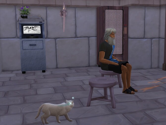 Sims 4 Roar and Grunt Vet at KyriaT’s Sims 4 World