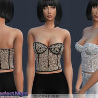 Embellished Bustier Top The Perfect Night By Ekinege