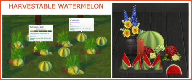 Sims 4 HARVESTABLE WATERMELON at Icemunmun