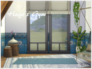 Hugo’s Gym by philo at TSR