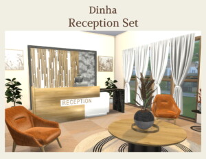 Reception Set at Dinha Gamer