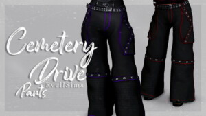 Cemetery Drive Pants at EvellSims