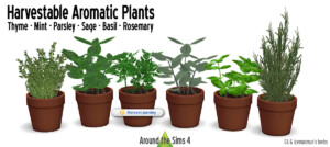 Aromatic plants for kitchen by Sandy at Around the Sims 4