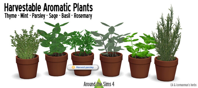 Sims 4 Aromatic plants for kitchen by Sandy at Around the Sims 4