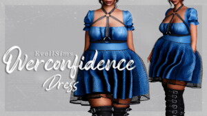 Overconfidence Dress at EvellSims