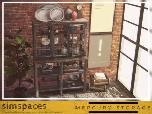 Mercury Storage by simspaces at TSR