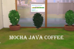 Harvestable Mocha Java Coffee by PiedPiper at Mod The Sims 4