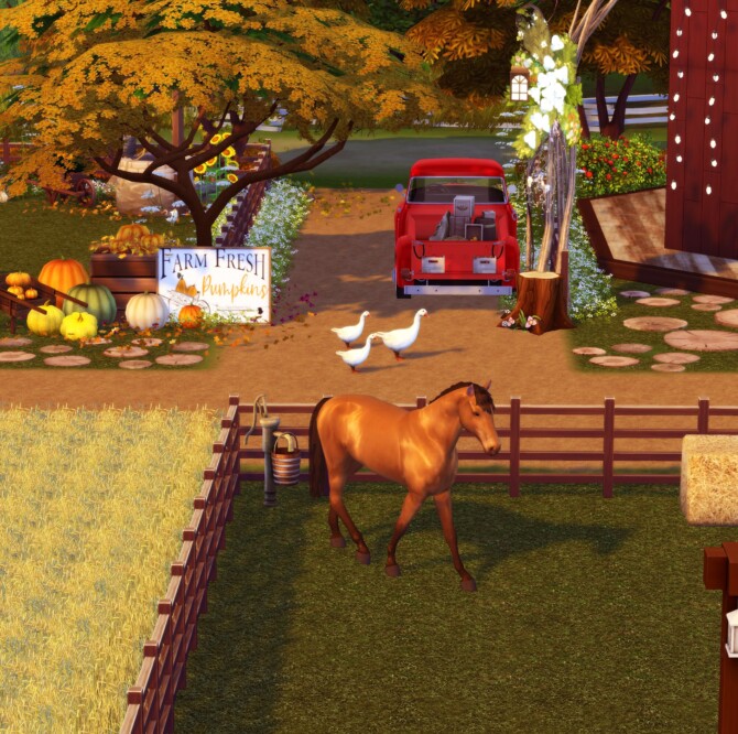 Sims 4 FARM VILLE at Lilly Sims