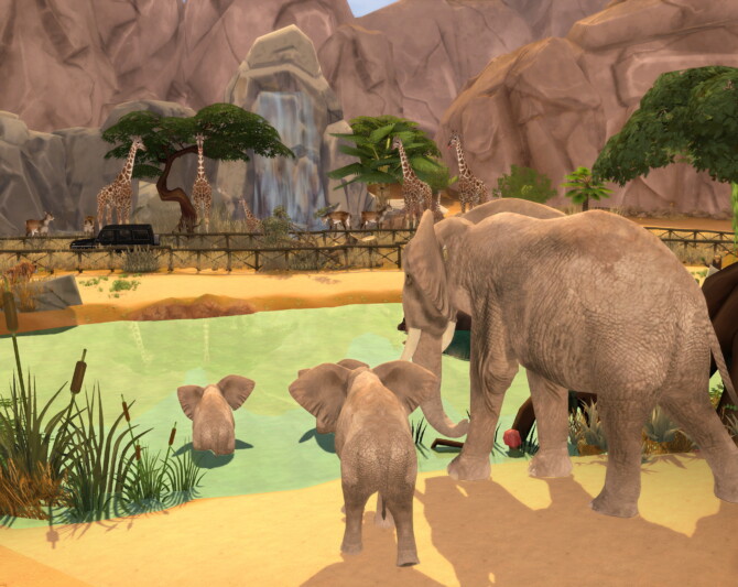 Sims 4 Go To Safari at Lily Sims