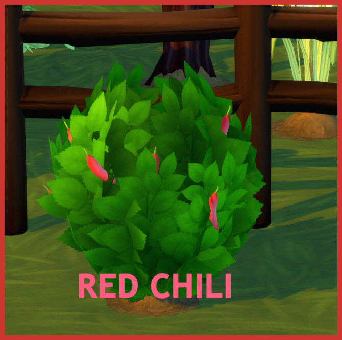 Sims 4 HARVESTABLE RED CHILI at Icemunmun