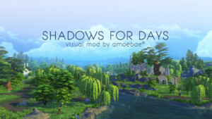 SHADOWS FOR DAYS – a visual mod at Picture Amoebae