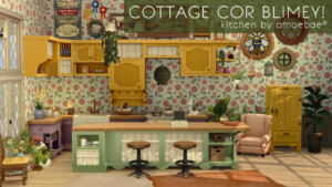 COTTAGE COR BLIMEY! Kitchen in Image Spectra at Picture Amoebae