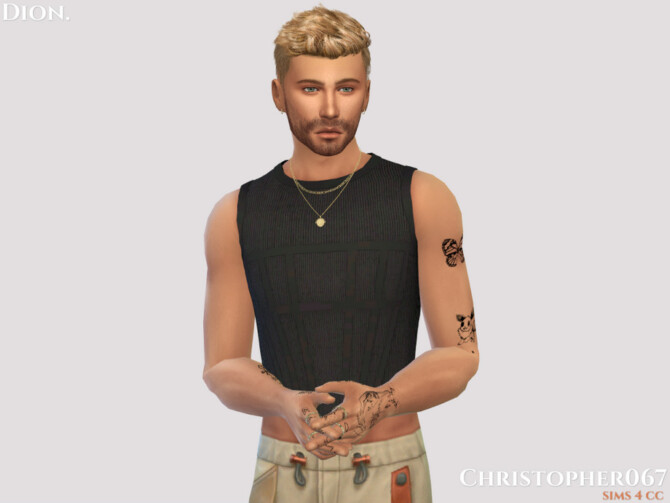 Sims 4 Dion Top by Christopher067 at TSR