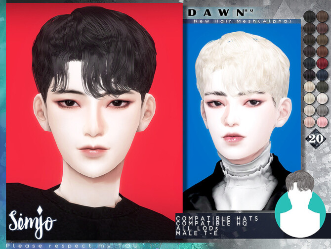 Sims 4 Dawn Male Hairstyle by KIMSimjo at TSR