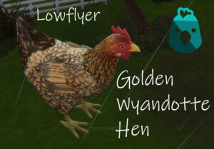 Golden Wyandotte Hen by lowflyer at Mod The Sims 4