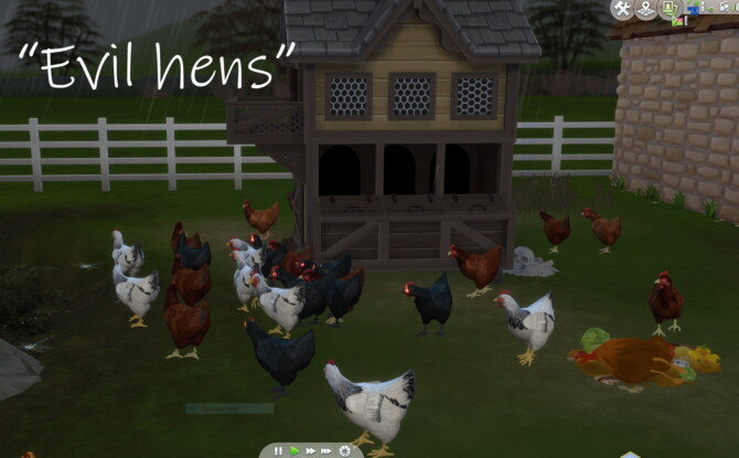 Sims 4 Three REAL hen breeds by lowflyer at Mod The Sims 4
