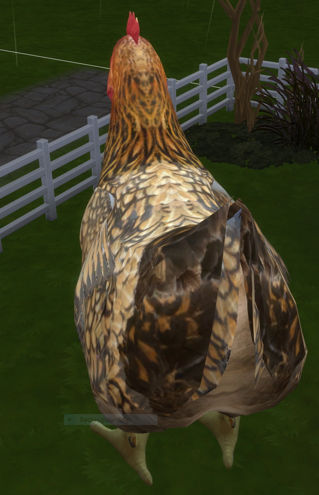Sims 4 Golden Wyandotte Hen by lowflyer at Mod The Sims 4