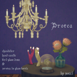 Random Set Protea by Pocci at Garden Breeze Sims 4
