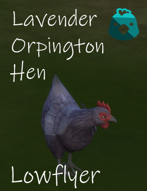 Sims 4 Lavender Orpington Hen by lowflyer at Mod The Sims 4