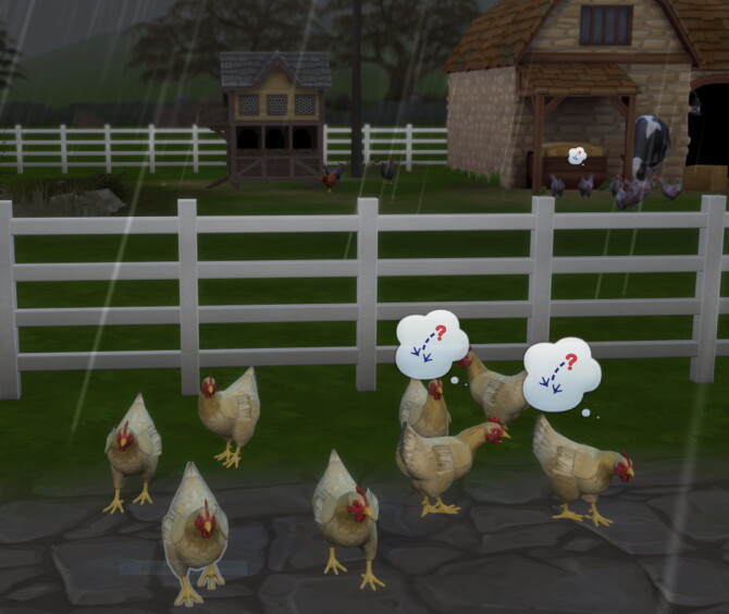 Sims 4 Real Breeds: Buff Orpington hen by lowflyer at Mod The Sims 4