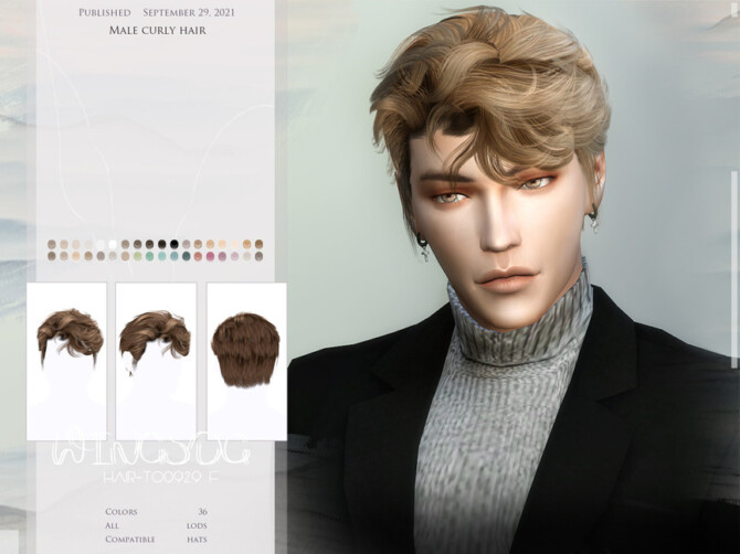 Sims 4 Male curly hair by wingssims at TSR