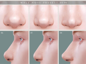 Male Nose Presets 04-06 at Lutessa