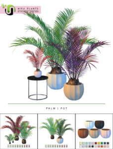 Syl Palm at Nynaeve Design