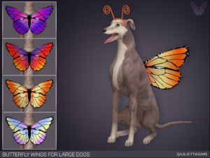 Butterfly Wings For Large Dogs by feyona at TSR