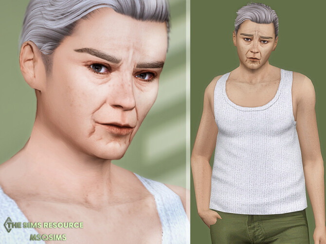 Sims 4 Harry Skin Overlay by MSQSIMS at TSR