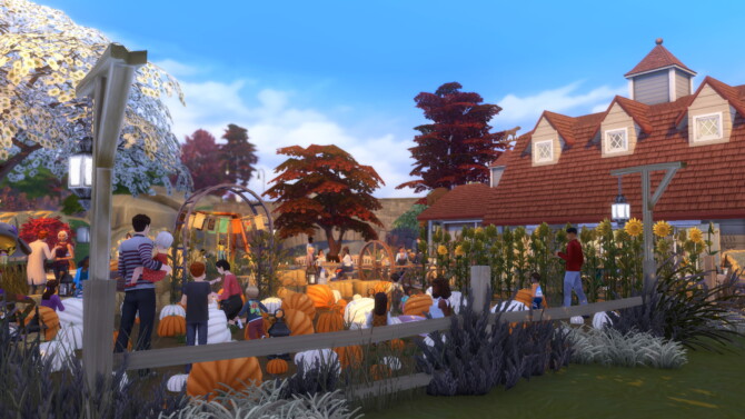 Sims 4 Patchys Pumpkin Patch by Lahawana at Mod The Sims 4