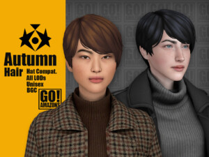 Autumn Hair by GoAmazons at TSR