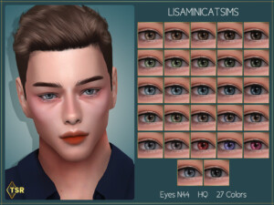 LMCS Eyes N44 (HQ) by Lisaminicatsims at TSR