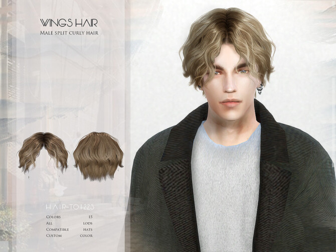 Sims 4 Male split curly hair   TO1223 by wingssims at TSR